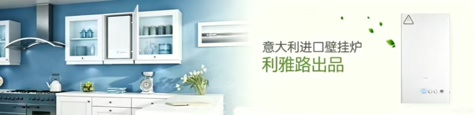 壁挂炉十大品牌